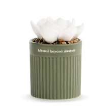 Load image into Gallery viewer, Succulent Oil Diffuser