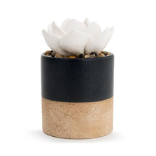 Load image into Gallery viewer, Succulent Oil Diffuser