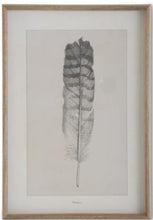 Load image into Gallery viewer, Assorted 25.5 Inch Framed Feather Prints (4 Styles)