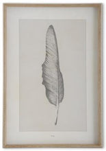 Load image into Gallery viewer, Assorted 25.5 Inch Framed Feather Prints (4 Styles)
