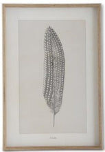 Load image into Gallery viewer, Assorted 25.5 Inch Framed Feather Prints (4 Styles)