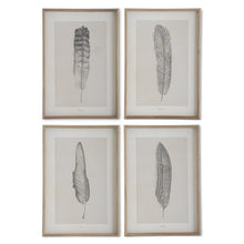 Load image into Gallery viewer, Assorted 25.5 Inch Framed Feather Prints (4 Styles)