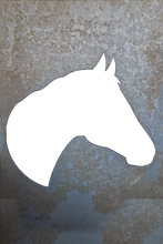 Load image into Gallery viewer, Mustang