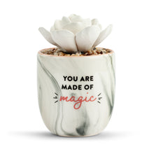Load image into Gallery viewer, Succulent Oil Diffuser