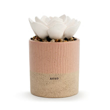 Load image into Gallery viewer, Succulent Oil Diffuser