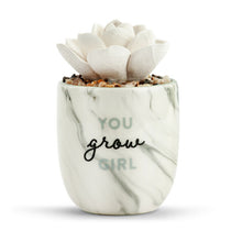 Load image into Gallery viewer, Succulent Oil Diffuser