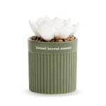 Succulent Oil Diffuser