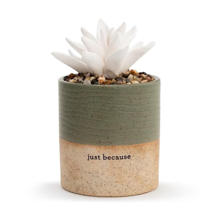 Succulent Oil Diffuser