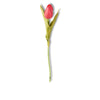 Real Touch Tulip Stem