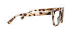 Impromptu Reading Glasses