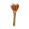 Rust Small Wheat Bundle