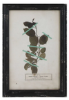 Framed Wall Decor with Floral Art, 16 Styles
