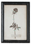 Framed Wall Decor with Floral Art, 16 Styles
