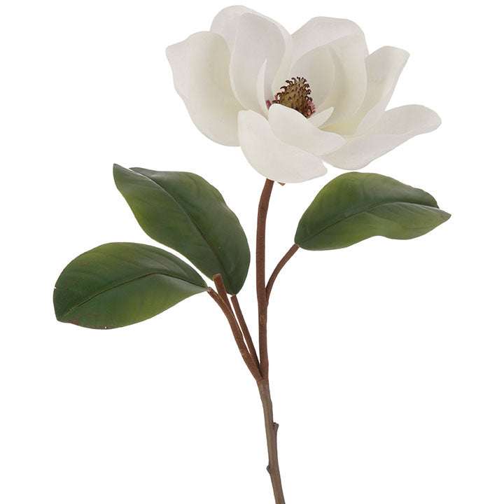 Bungalow Magnolia Stem
