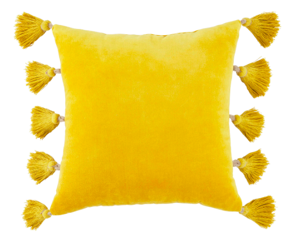 Velvet Tassel Pillow
