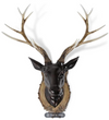 Resin Wall Mount Deer Head