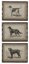 Load image into Gallery viewer, Assorted 11.75 Inch Ornate Brown Wood Framed Dog Prints
