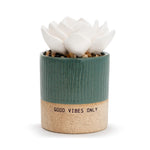 Succulent Oil Diffuser