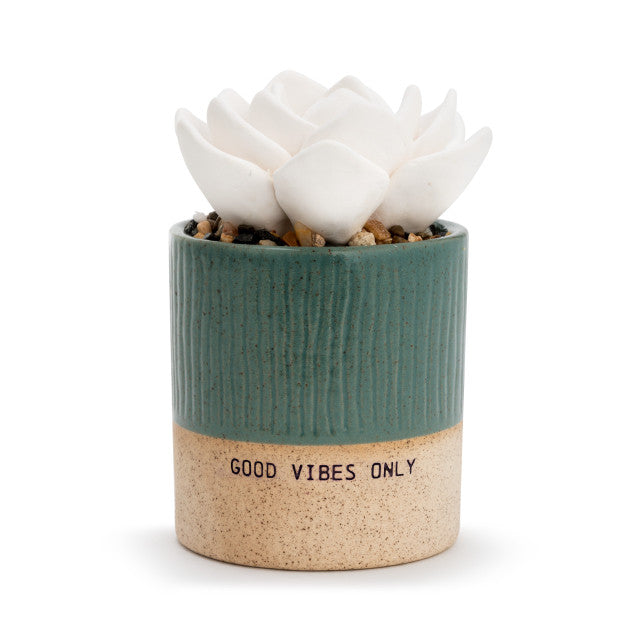 Succulent Oil Diffuser