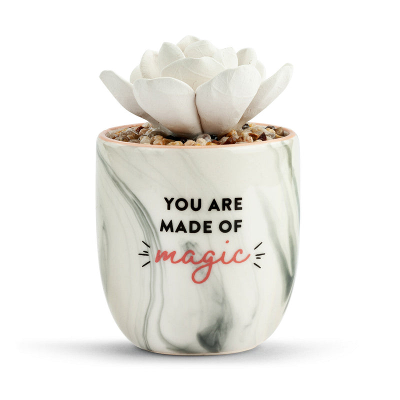 Succulent Oil Diffuser