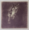 Unbridled Print