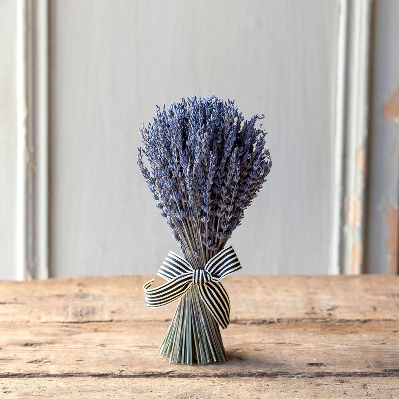 Dried Lavender Bundle with Ribbon, Large