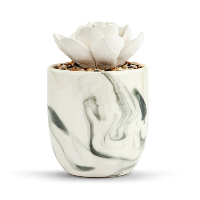 Succulent Oil Diffuser
