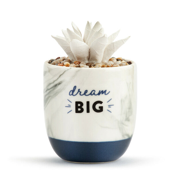 Succulent Oil Diffuser