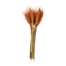 Load image into Gallery viewer, Rust Small Wheat Bundle

