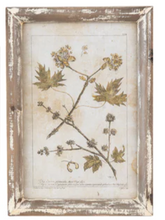 Load image into Gallery viewer, Fitzgerald's Farm Collected Print
