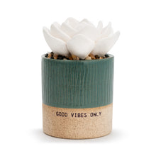 Load image into Gallery viewer, Succulent Oil Diffuser
